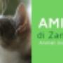 Amici Miei