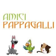 Amici Pappagalli Di Bergamo Luigina