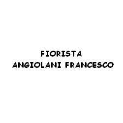 Fiorista Angiolani Francesco