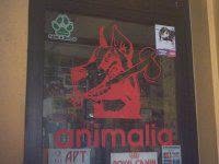 Animalia S.n.c.