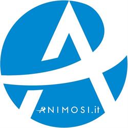 ANIMOSI LUCIANO Illuminazione srl