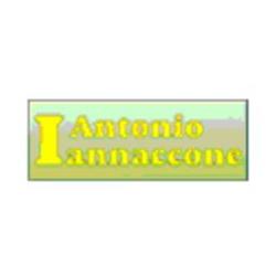 Antonio Iannaccone