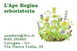 Ape Regina S.a.s.