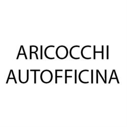 Aricocchi Autofficina