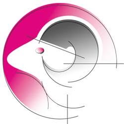 Aries SRL