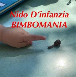 Asilo Nido Bimbomania