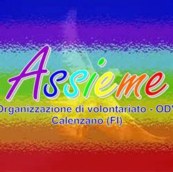 Assieme Associazione Del Volontariato Di Utilita Sociale