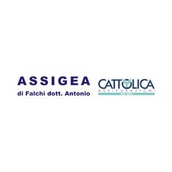 Assigea Cattolica Assicurazioni