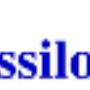 Assilogos Srl