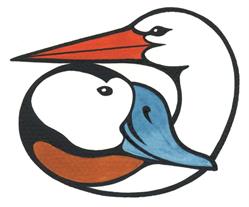 Associazione Centro Cicogne E Anatidi