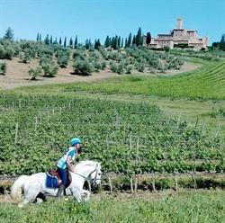 Associazione Equestre Fogliarina