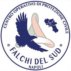 Falchi del Sud - Odv