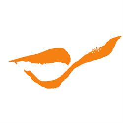 Associazione Il Cortile