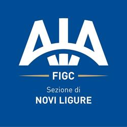 Associazione Italiana Arbitri