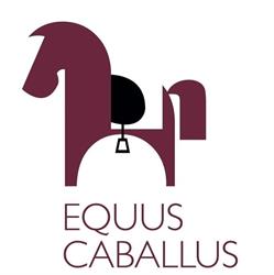 Associazione Mannus Club
