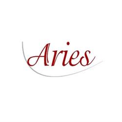 Aries Pilates Postura e Danza