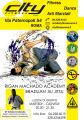 Karate K1 e BJJ