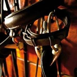 Associazione Sportiva Suno Riding Club