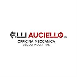 F.lli  Auciello Officina Meccanica  Veicoli Industriali