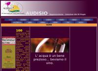 Audisio S.a.s.