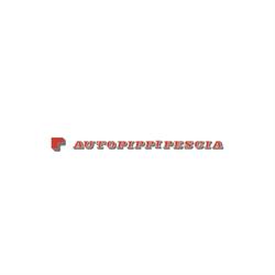 Auto Pippi Pescia SRL