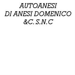 Autoanesi