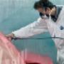 Verniciatura a Forno Autocarrozzeria Aurora