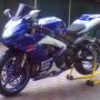 Gallery Cliente