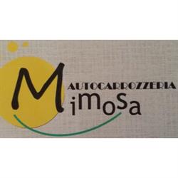 Autocarrozzeria Mimosa