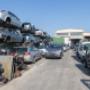 Gallery Professionale