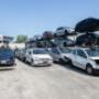 Gallery Professionale