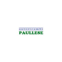 Autoricambi Paullese