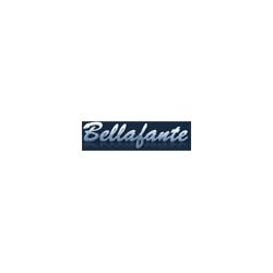 Autoscuola Bellafante