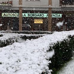 Autoscuola Borgaro