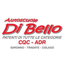 Autoscuola Catelli Di Bernasconi Roberta e Di Bello Pasquale S.n.c.