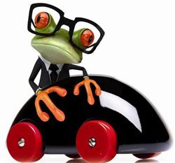 Autoscuola Nuova Marotti