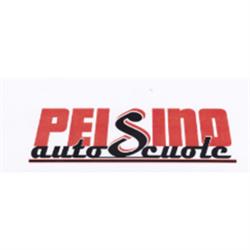 Peisino Autoscuola