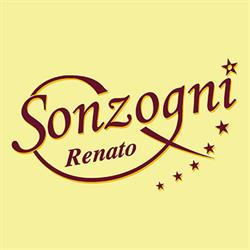 Autoservizi Renato Sonzogni e C. (S.n.c.)