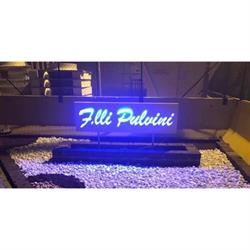 Autotrasporti F.lli Pulvini SNC Di Pulvini Stefano & Paolo