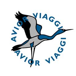 Avior Viaggi