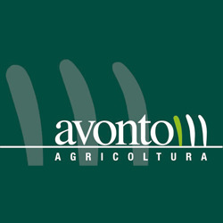 Avonto