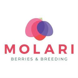 Az. Agr. Molari & Gatti Di Molari Gilberto