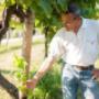 Azienda Agricola Claudio Morelli
