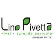 Azienda Agricola  Vivai Pivetta Lino  &  C.