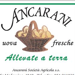 Azienda Agricola Ancarani