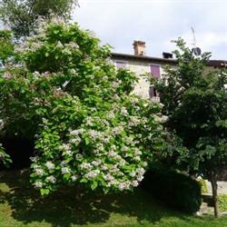 AZIENDA AGRITURISTICA CAMPO DEL PILLO