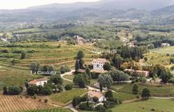Azienda Agricola Codelli Snc Di Codelli L. & C.