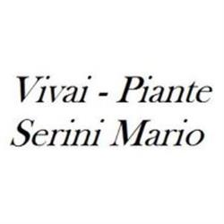 Mario Serini Vivaio