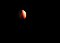 Azienda Agricola F.Lli Morini