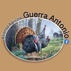 Azienda Agricola Guerra Antonio E Ragni Nadia